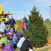 Tree-Planting