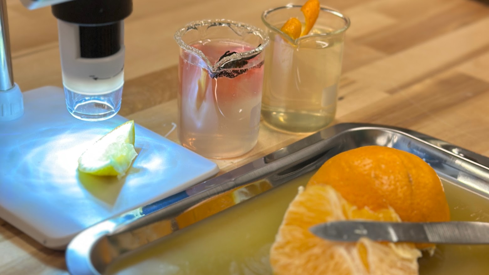 Mocktails, a microscope, and dissection of citrus fruits