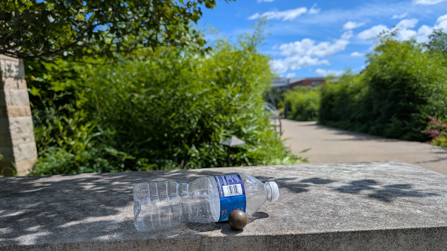 A water bottle lying on a rock in a garden