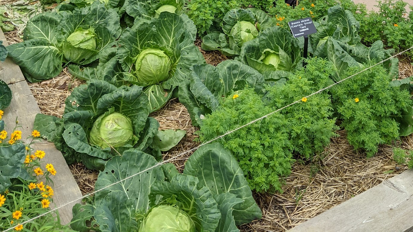 Harvest Tasting