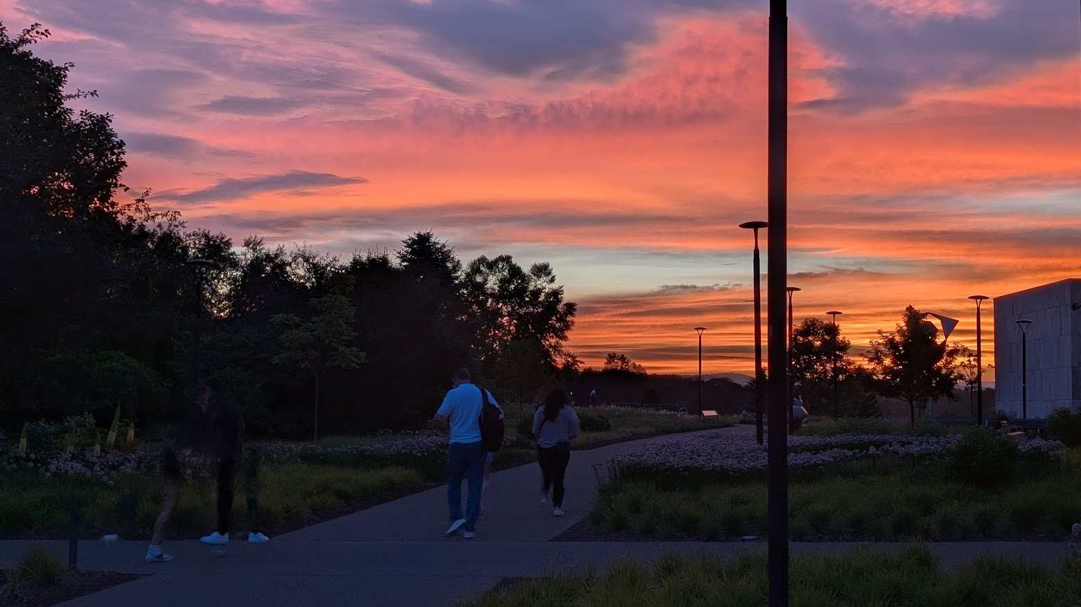 Two people walking in a garden at sunset