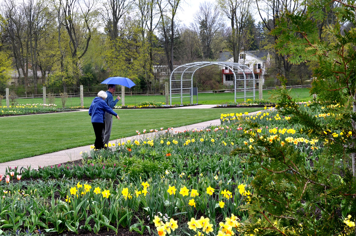 2011-04-24---Bulb-display,-rainy-spring-day---A.-Gapinski