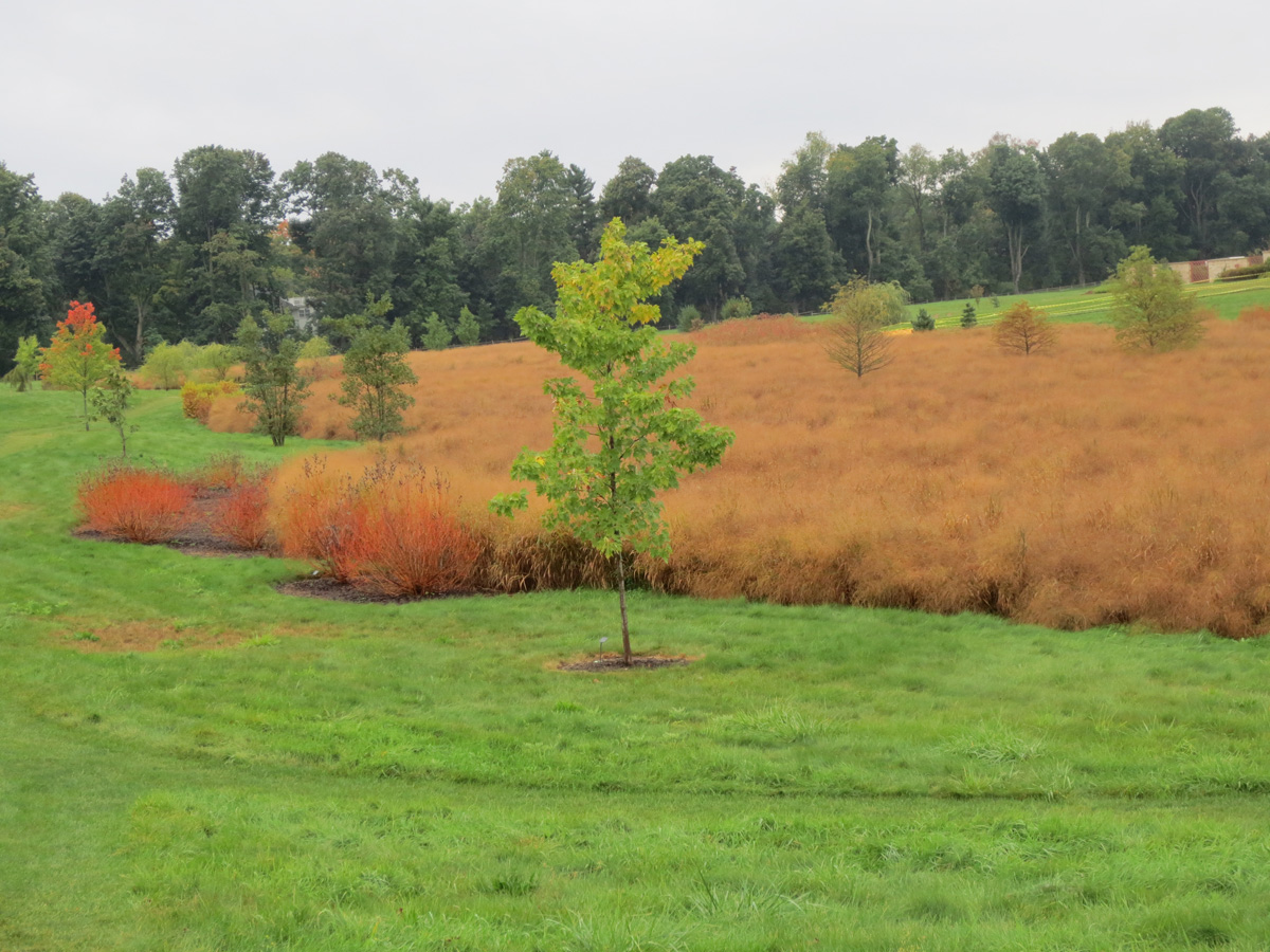 2012-09-26---Marsh-Meadow---C.-Kennedy