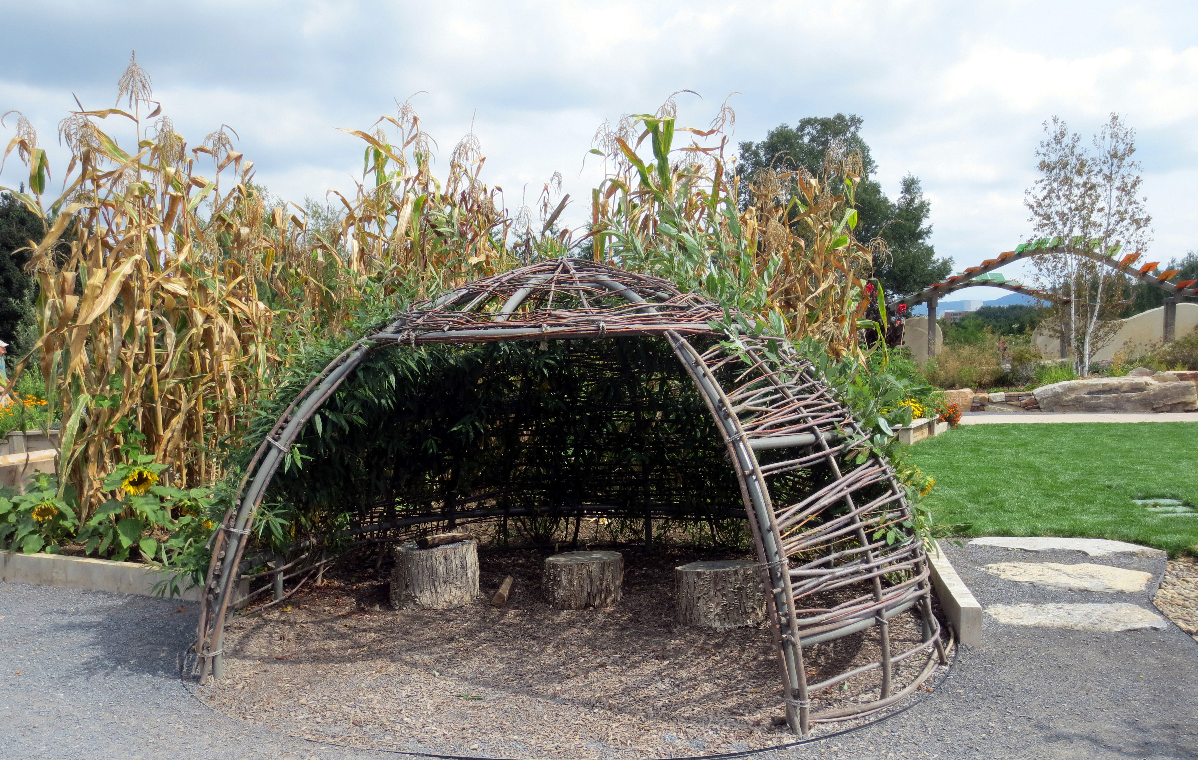 Crop guarding hut in children's garden October 2015
