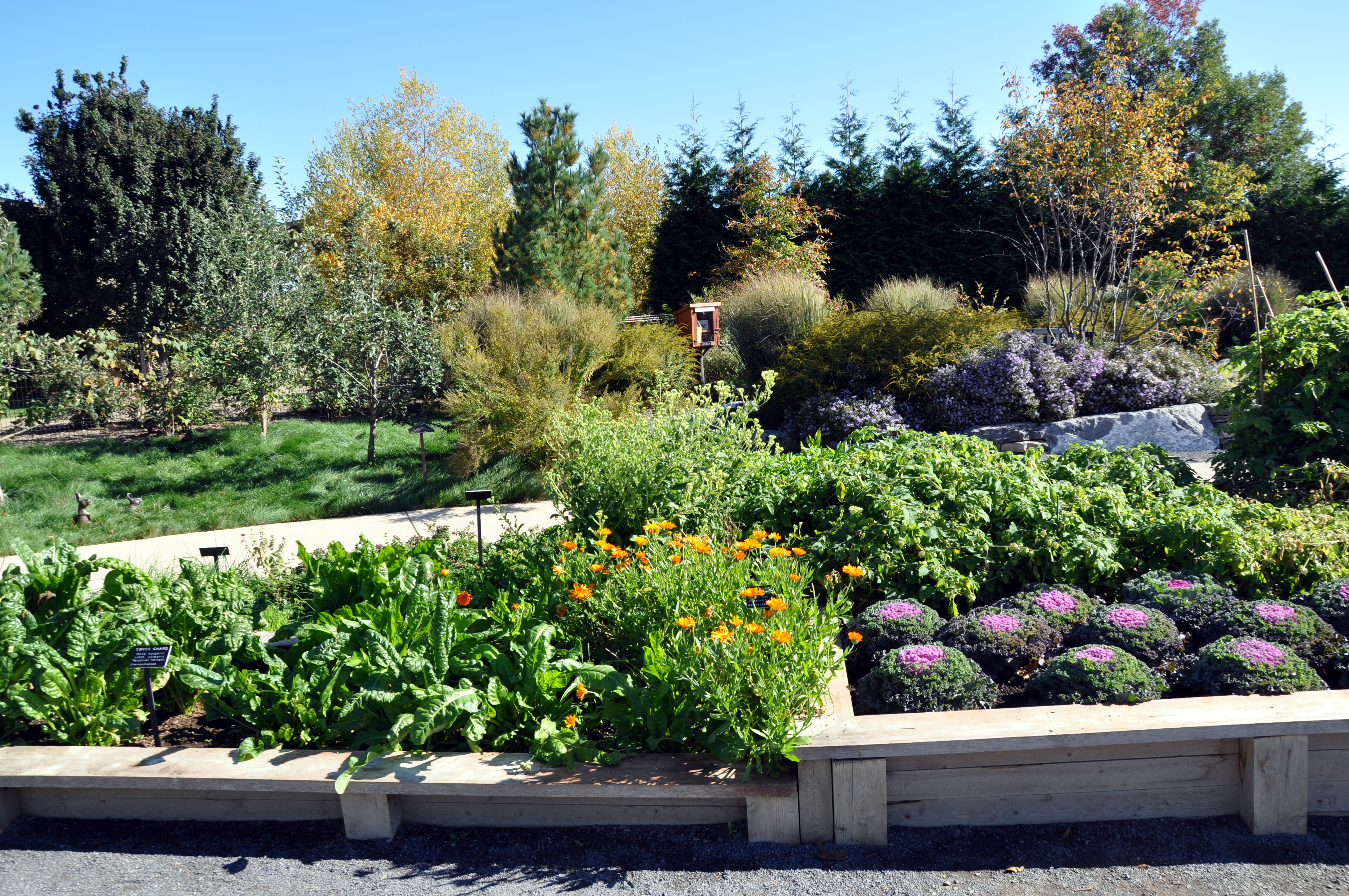 Harvest Gardens in mid-October 2015