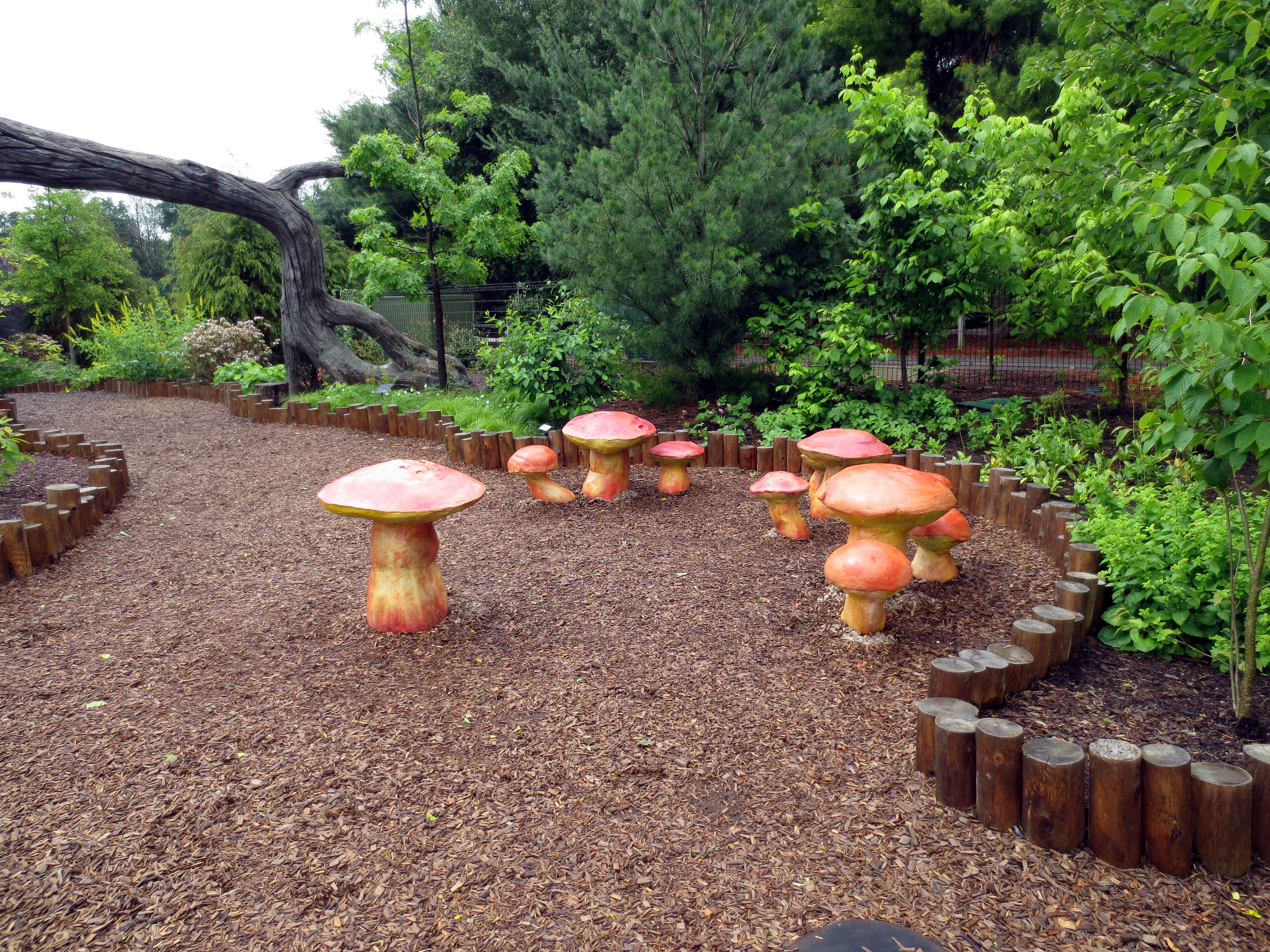 Mushrooms in seating area of Mushroom Hollow