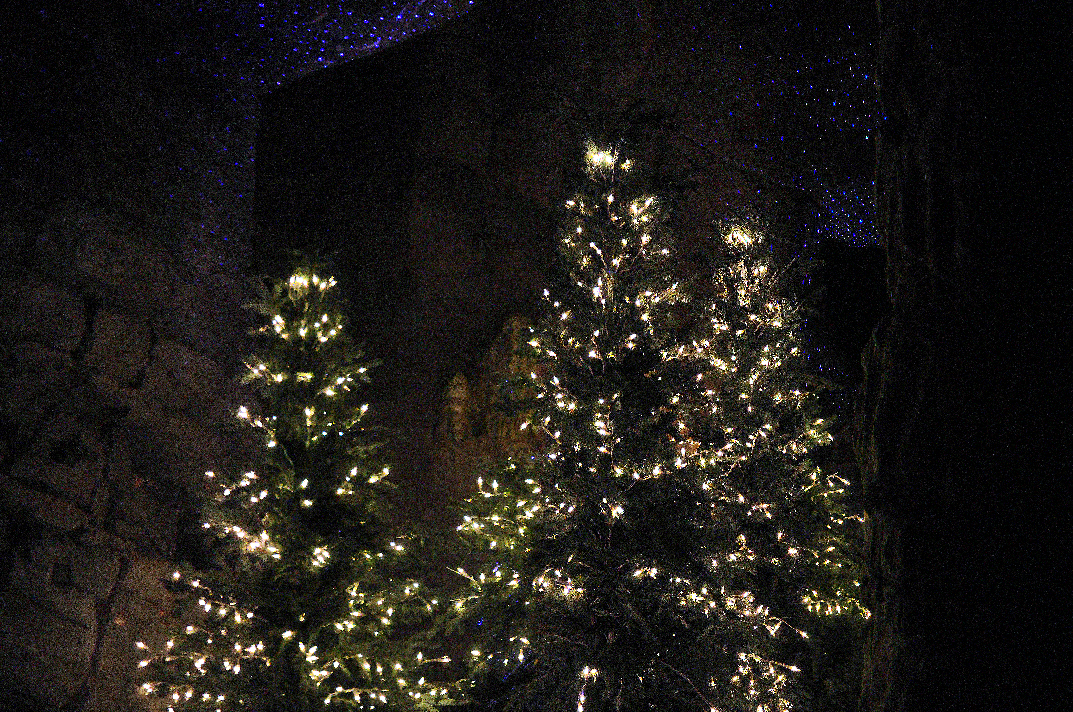 12 11 2015 - Trees and lights in cave during Winter Celebration - kkreeder