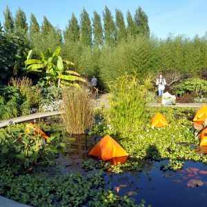 2016 10 15 - Oasis Garden in autumn - kkreeder
