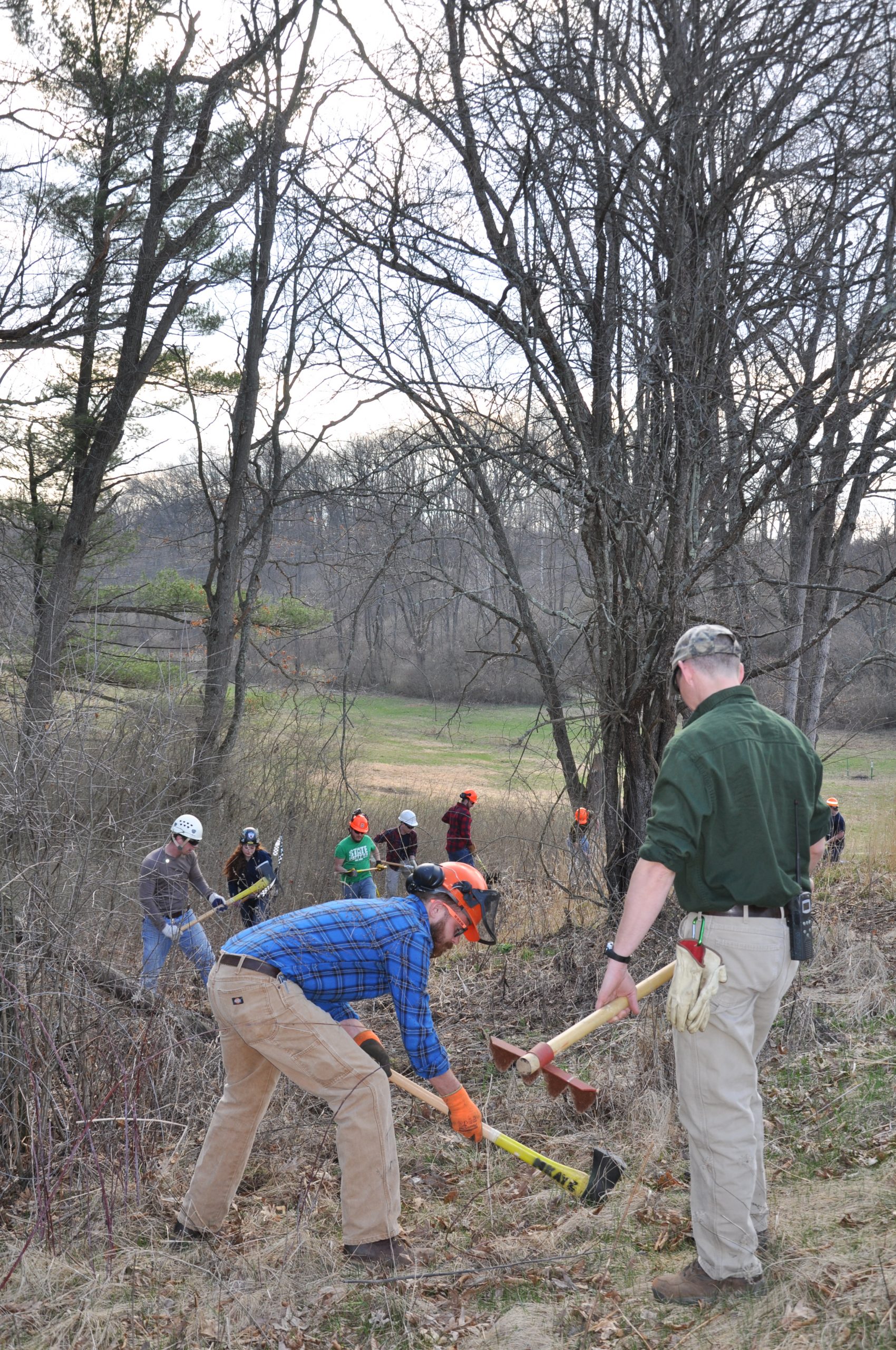 students cutting a burn line in wooded area