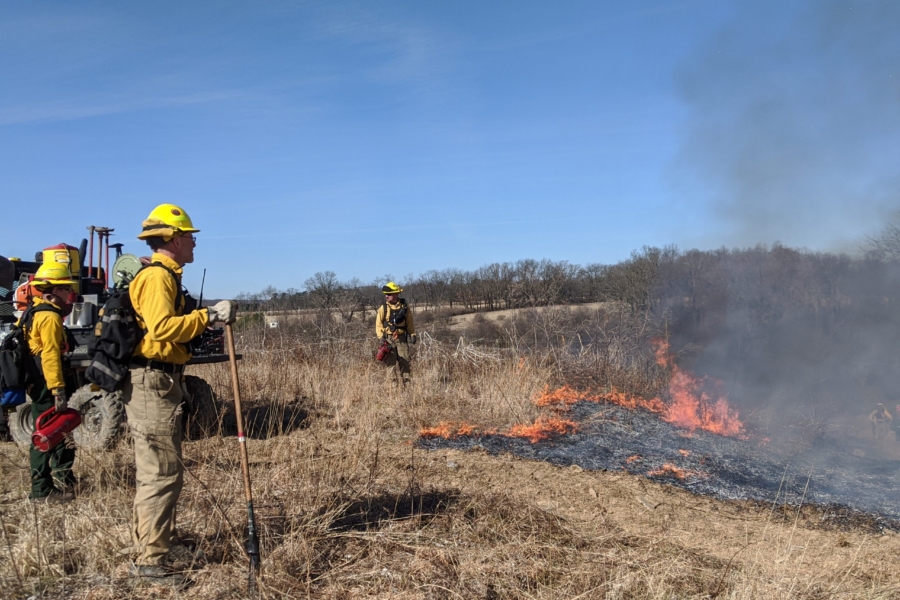 Prescribed burn at Prairie Restoration Site