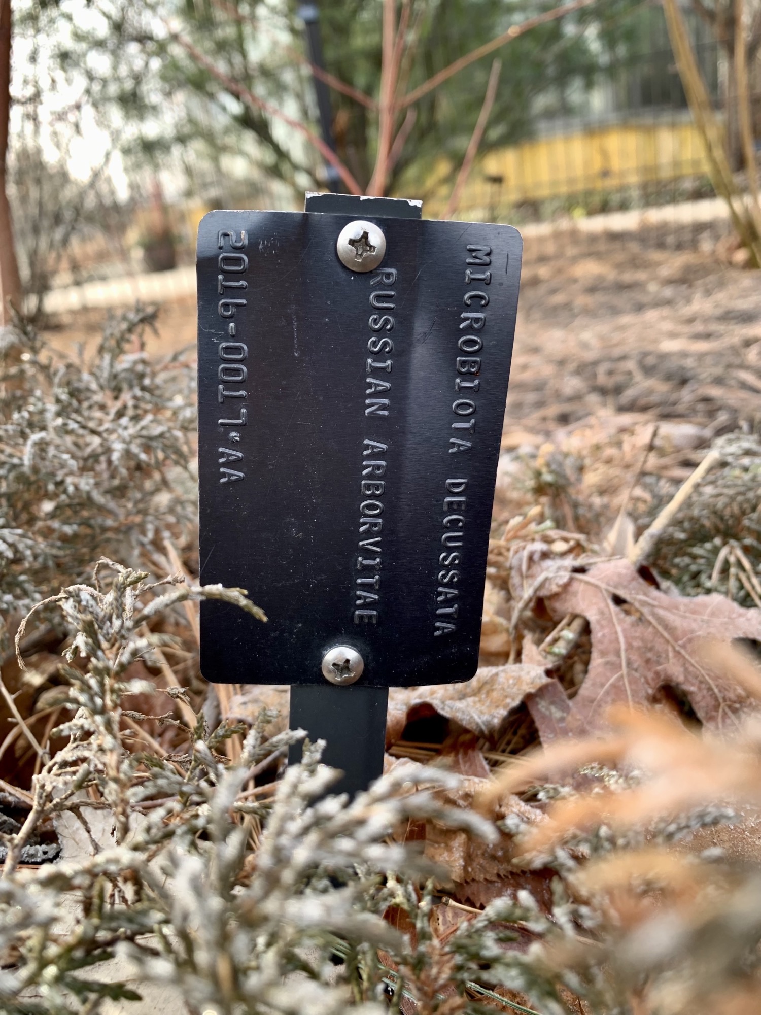 plant identification tag attached to tree base