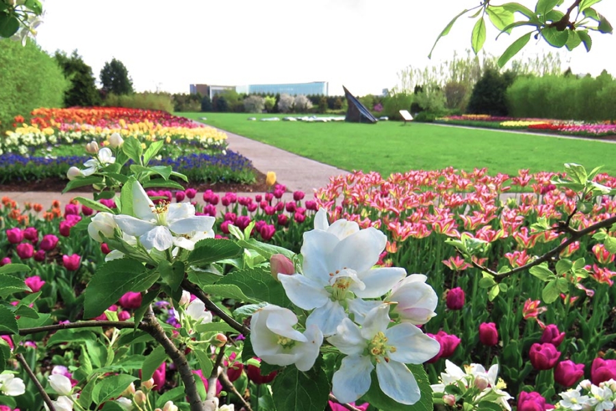 Joan Milius Smith Esplanade at The Arboretum at Penn State