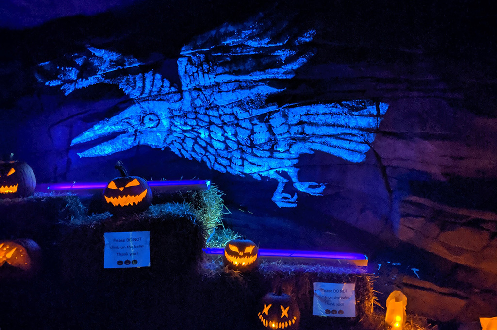 bird painting on a large rock with jack-o'-lanterns