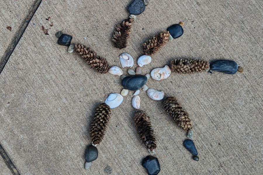 spiral art created with pinecones and rocks