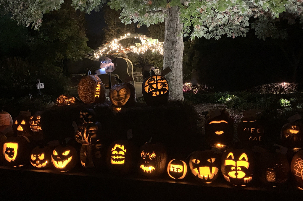 Jack-o'-Lanterns displayed on bales of hay