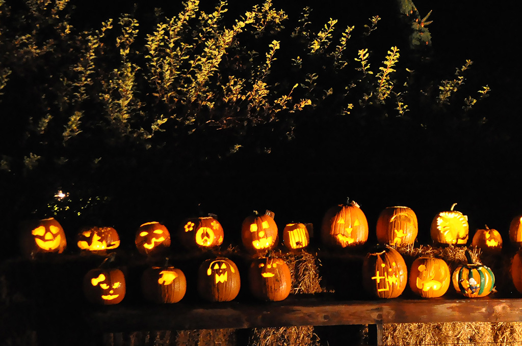 large display of traditional jack-o'-lanterns