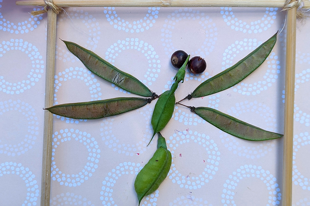 dragonfly art made with leaves and seeds
