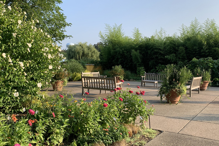 The Conservatory Terrace with a bench and summer flowers