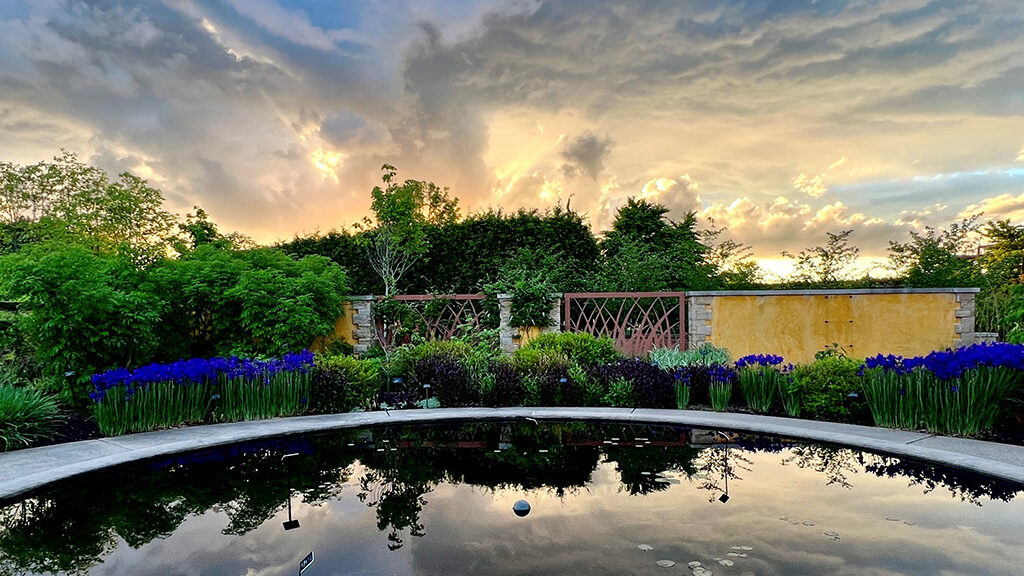 reflection of skyline in an artificial pond