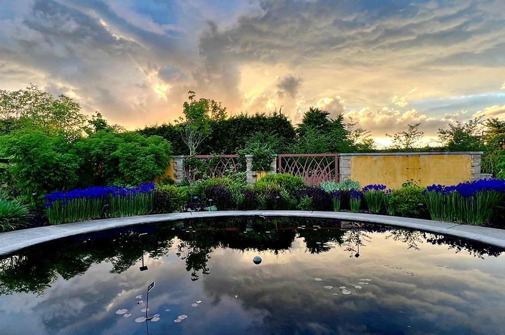 reflection of skyline in an artificial pond