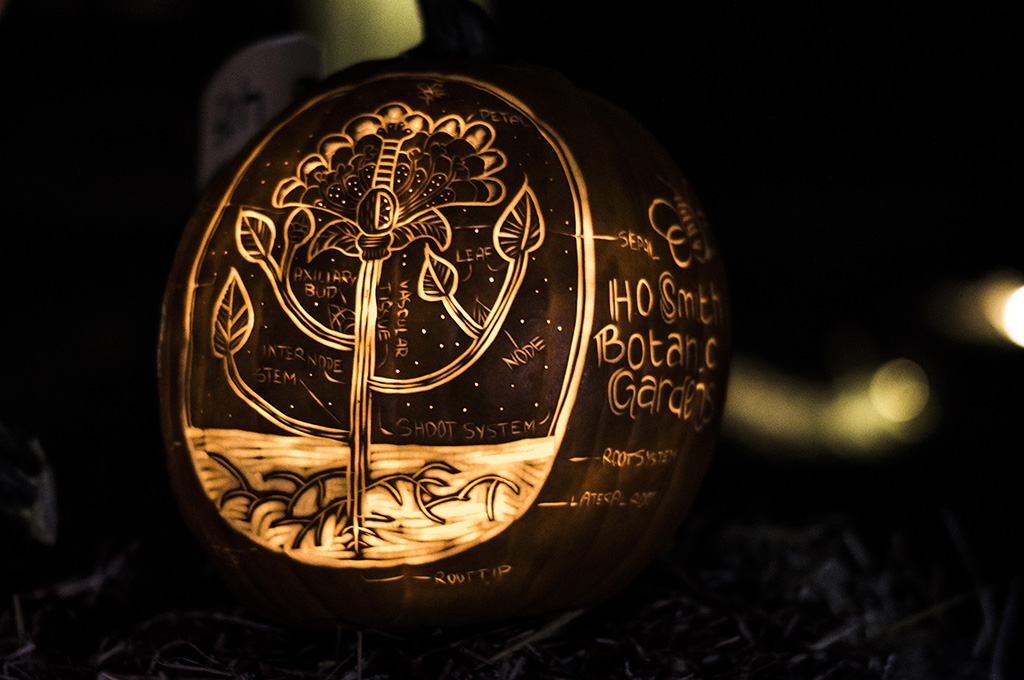 jack-o'-lantern with artistic tree carving