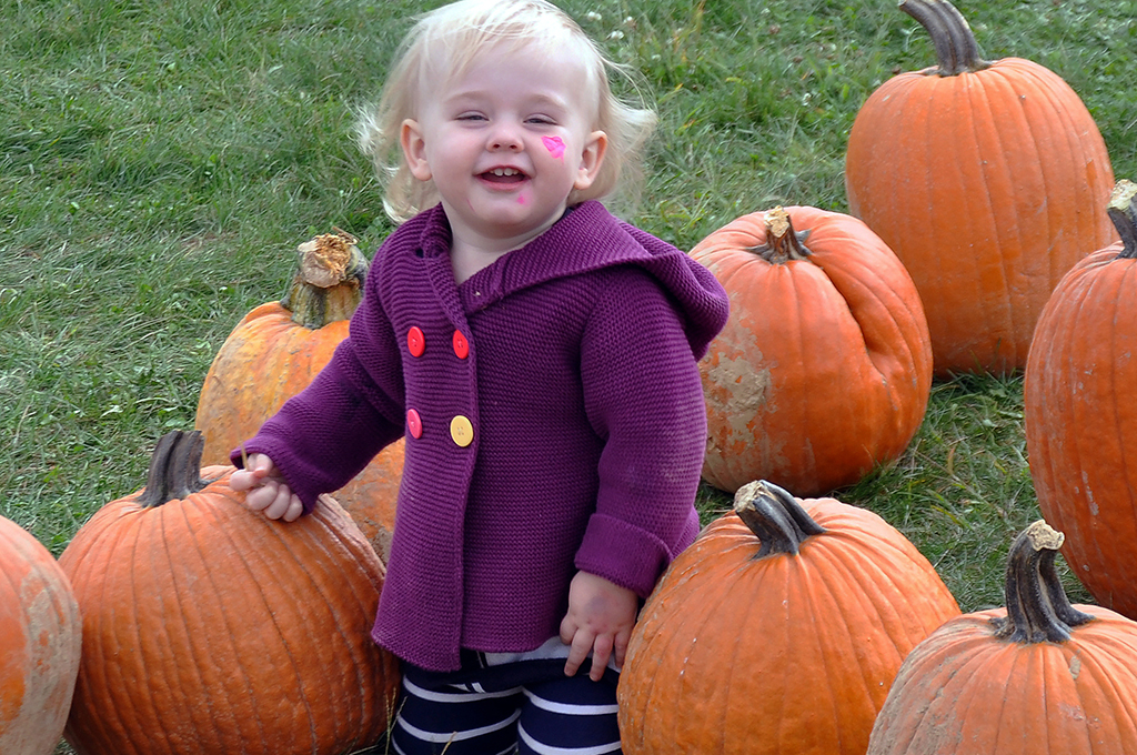 toddler standing in a field surrounded by large pumpkins