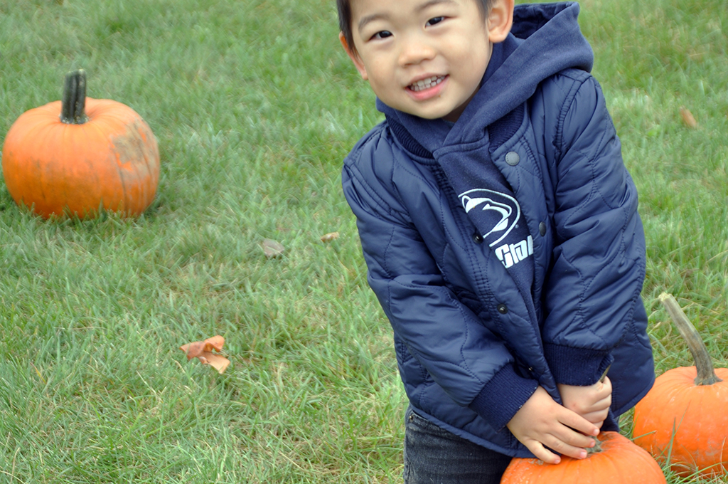 toddler in a field lifts a small pumpkin