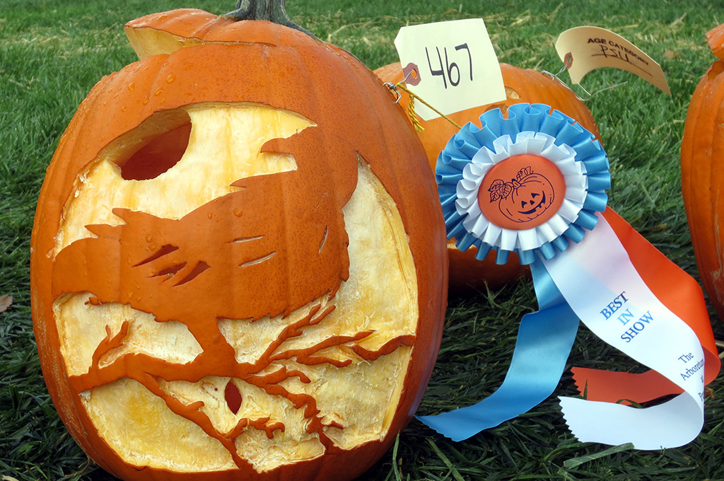 crow carved into jack-o'-lantern with best in show ribbon