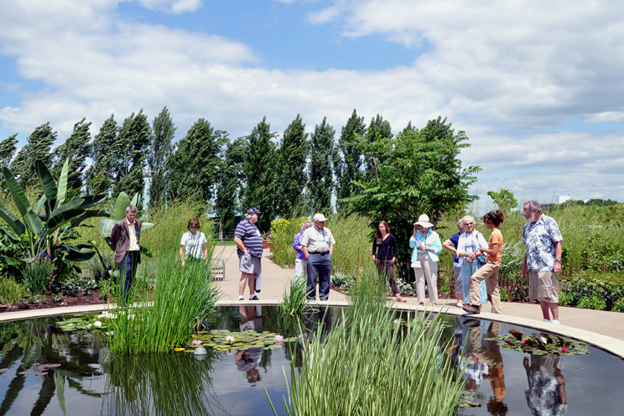 group of people gather near reflecting pond