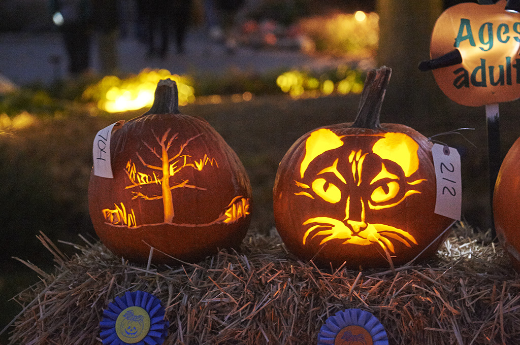 jack-o'-lanterns carved with a tree and a cat's face
