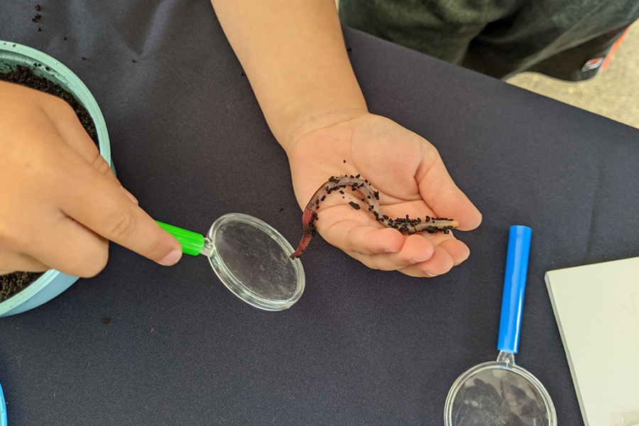 child examines a worm under a magnifying glass