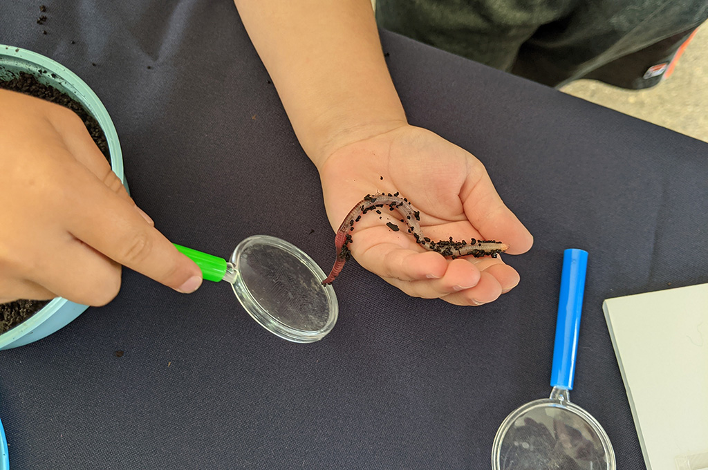 child examines a worm under a magnifying glass