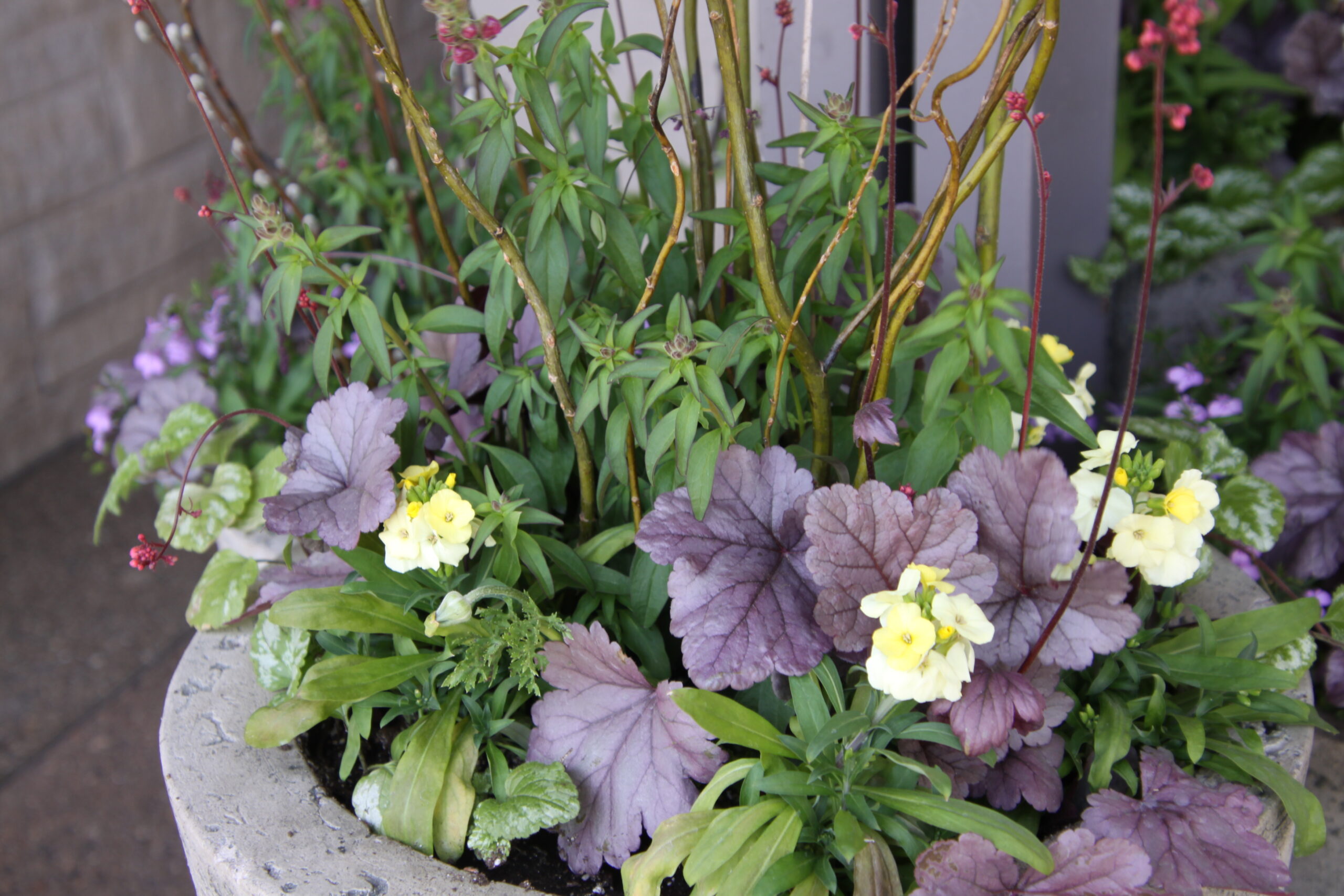 self-contained planter for spring