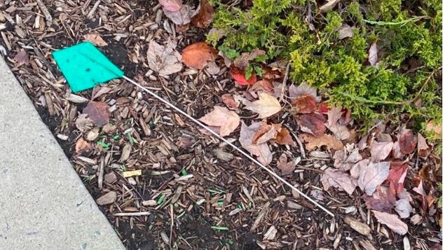 Image of sidewalk edge with foliage, leaves, and a construction flag on a metal stake