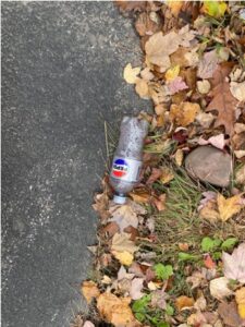 edge of a sidewalk showing an empty pepsi bottle discarded in some leaves 