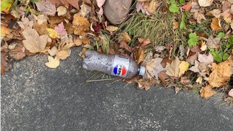 edge of a sidewalk showing an empty pepsi bottle discarded in some leaves