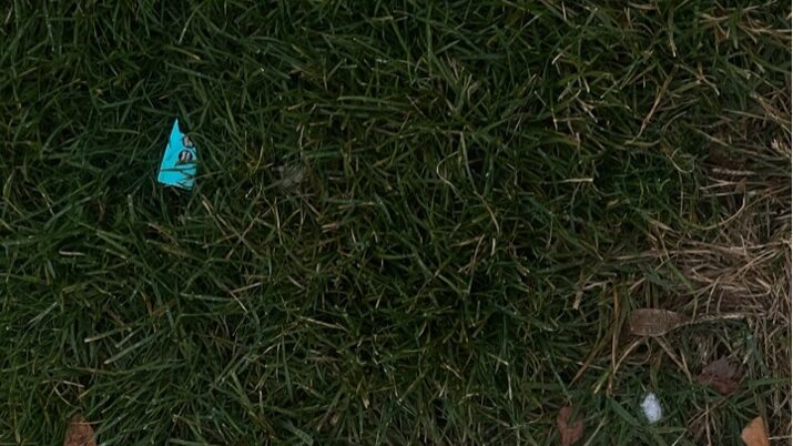image of lawn with pieces of trash (blue)