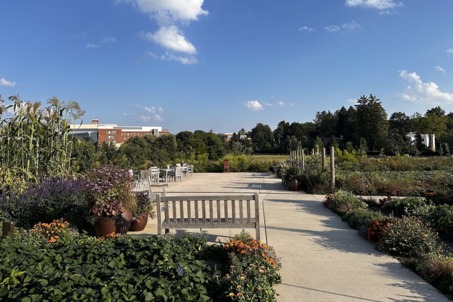 A sidewalk leading through a garden with a bench in the foreground.