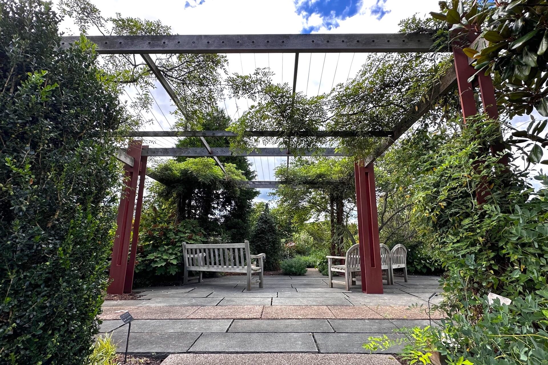 Rose Garden with a trellis above some aging benches