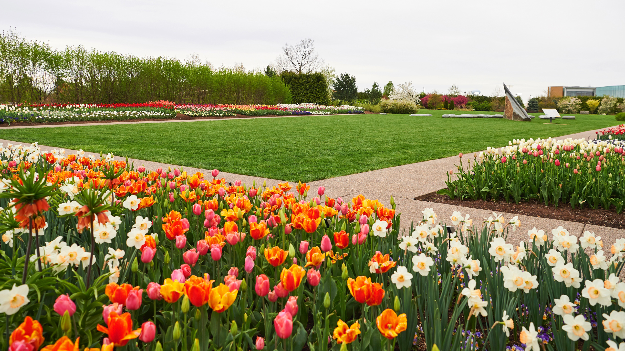 Spring flowers at the Arboretum