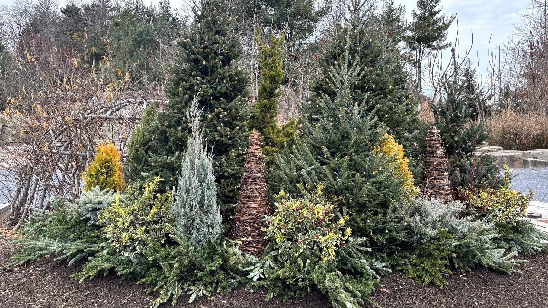 2024 Winter Displays Children's Garden