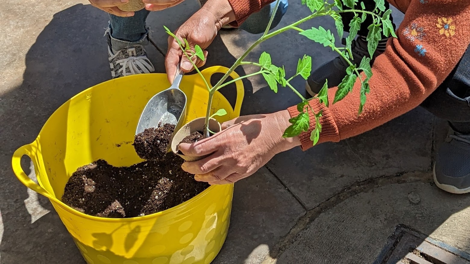 Family Gardening Club