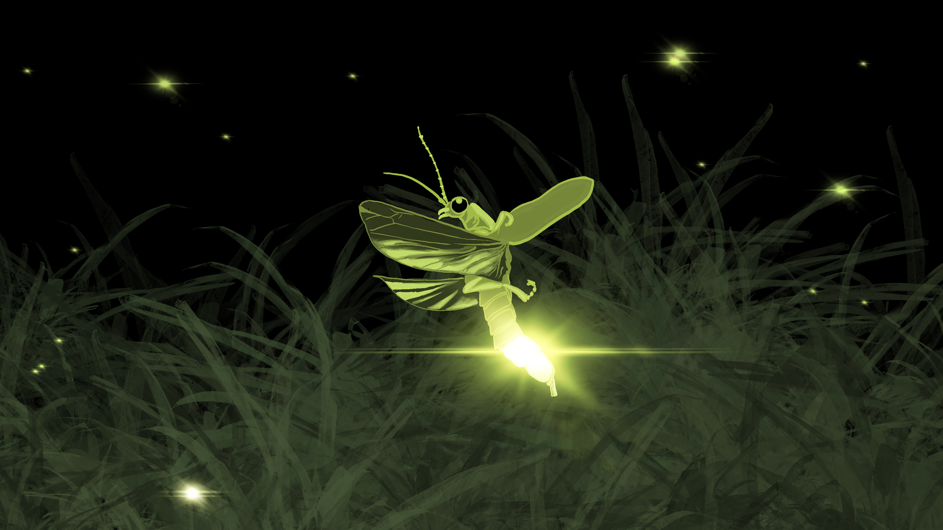 A drawing of fireflies.