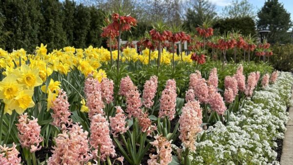 Spring Displays