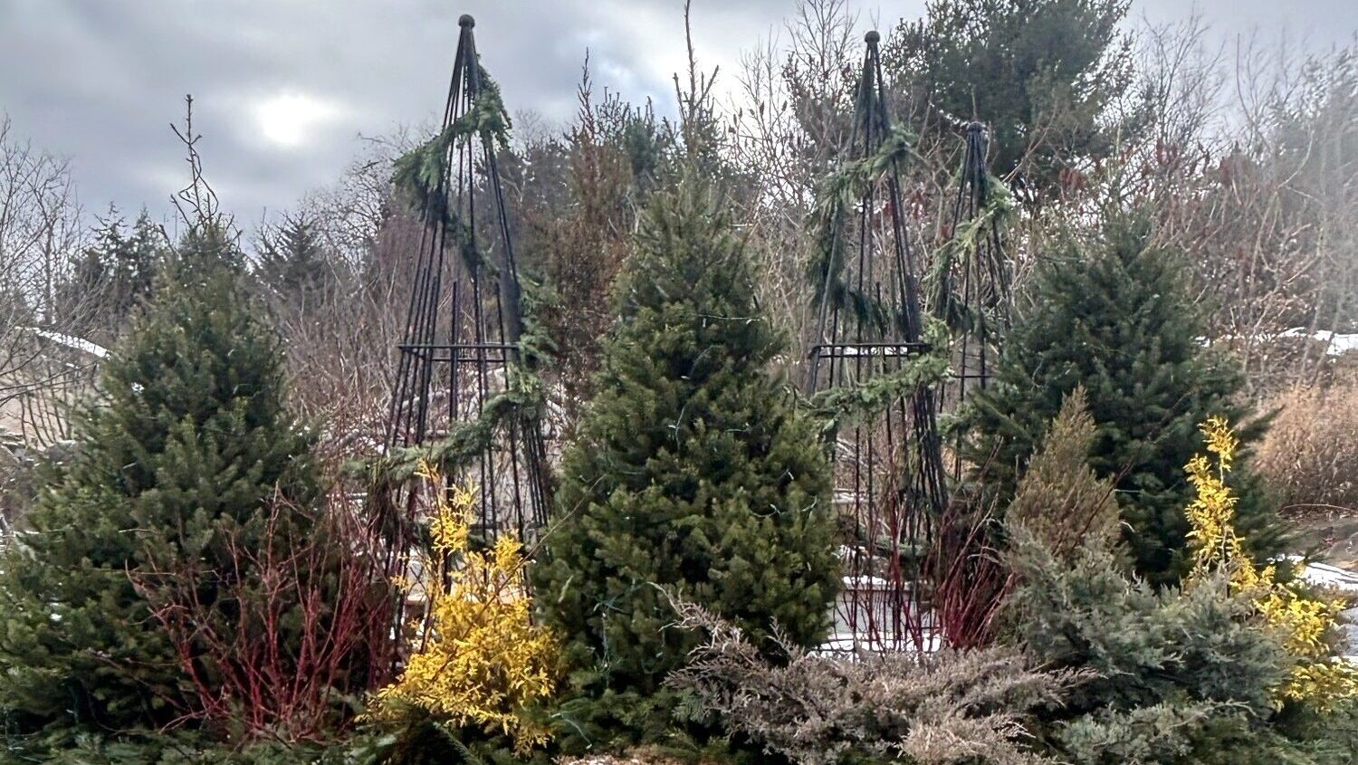 Childrens Garden Winter Display